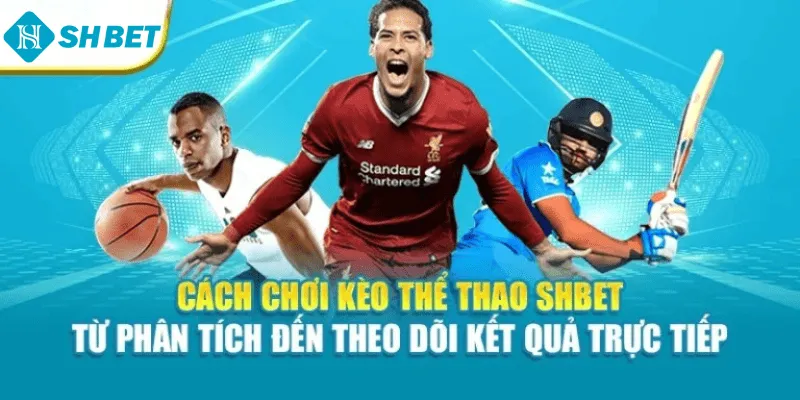 Cách chơi kèo thể thao Shbet từ phân tích đến theo dõi kết quả trực tiếp